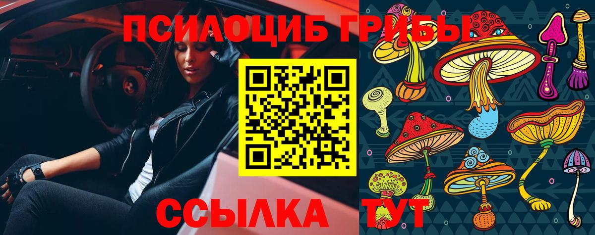 Спасск-Дальний  Псилоцибиновые грибы Magic Shrooms  Вход с VPN 